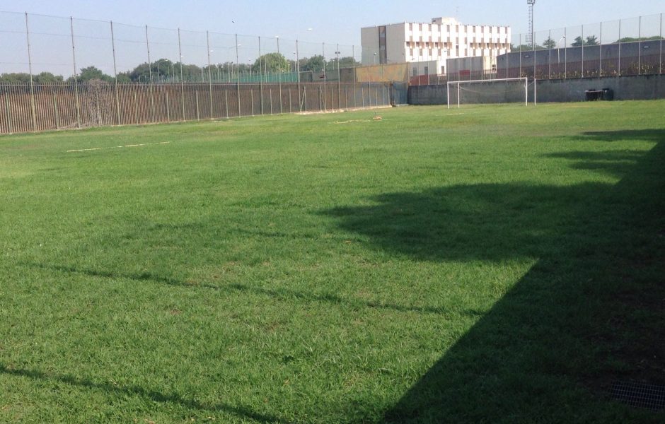 campo da allenamento